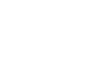 IBIS LOGO
