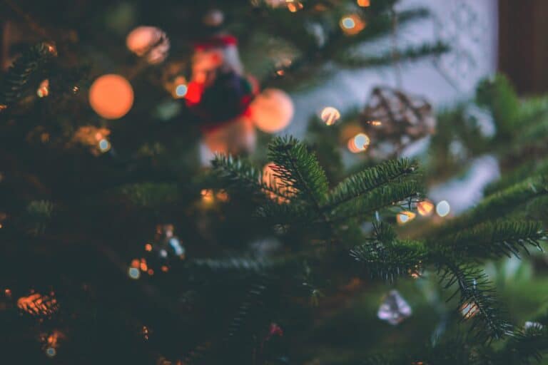 Archiv 2 close up photo of christmas tree 1671867 scaled 1