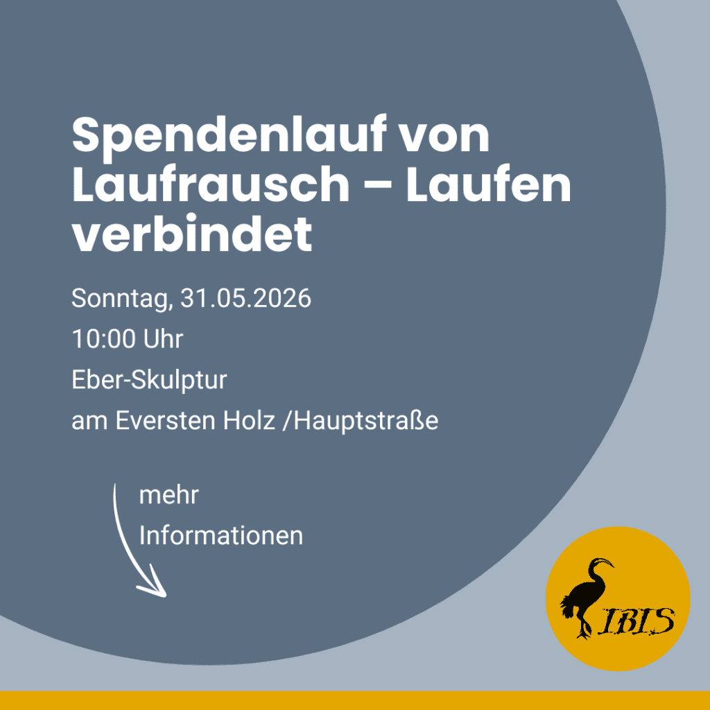 Aktuelles Spendenlauf von Laufrausch 1